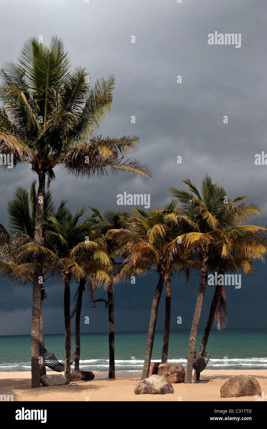 Gli alberi di cocco sotto un cielo tempestoso, BAN KRUT BEACH, BANG SAPHAN, Thailandia, ASIA Foto Stock