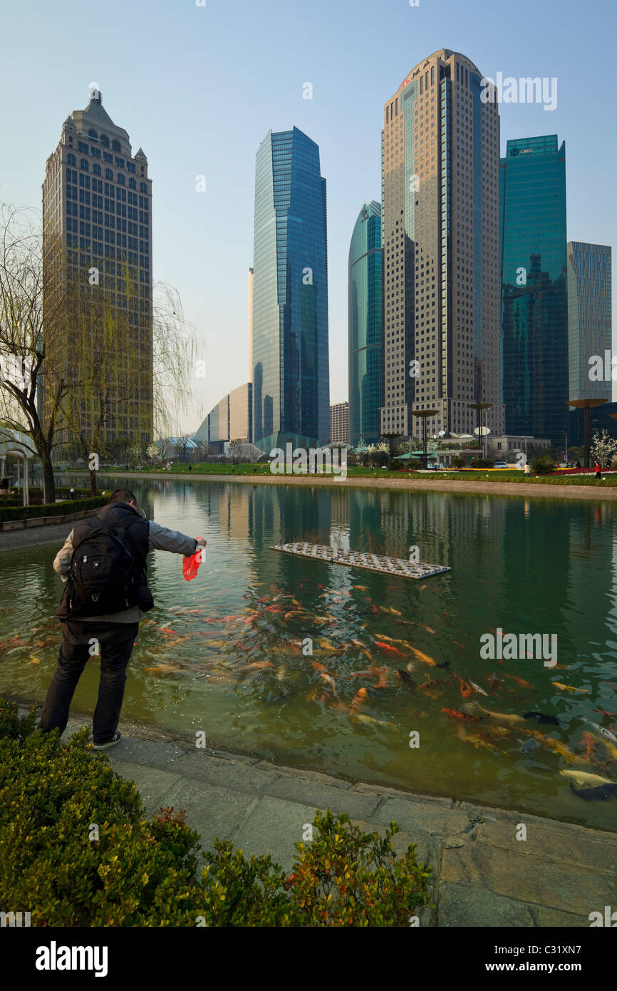 Un uomo alimentare pesce in uno stagno di pesci nella centrale di Lujiazui spazio verde del quartiere Pudong di Shanghai. Foto Stock