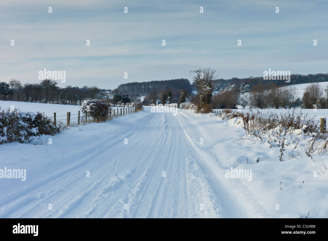 Paesaggio Innevato in Swinbrook in Cotswolds, REGNO UNITO Foto Stock