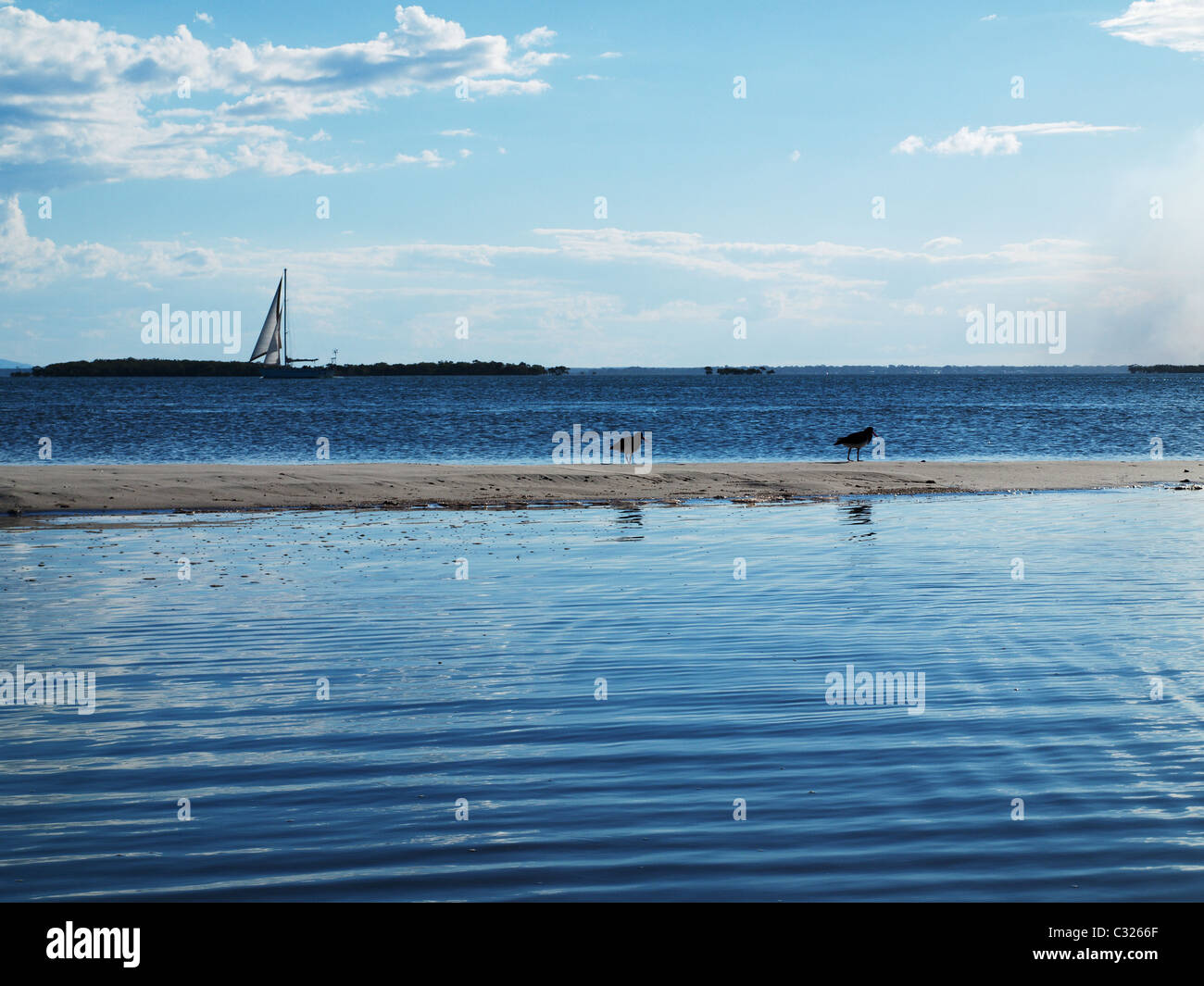 Barca a vela su orizzonte con spiaggia di sabbia in primo piano acqua di mare Foto Stock