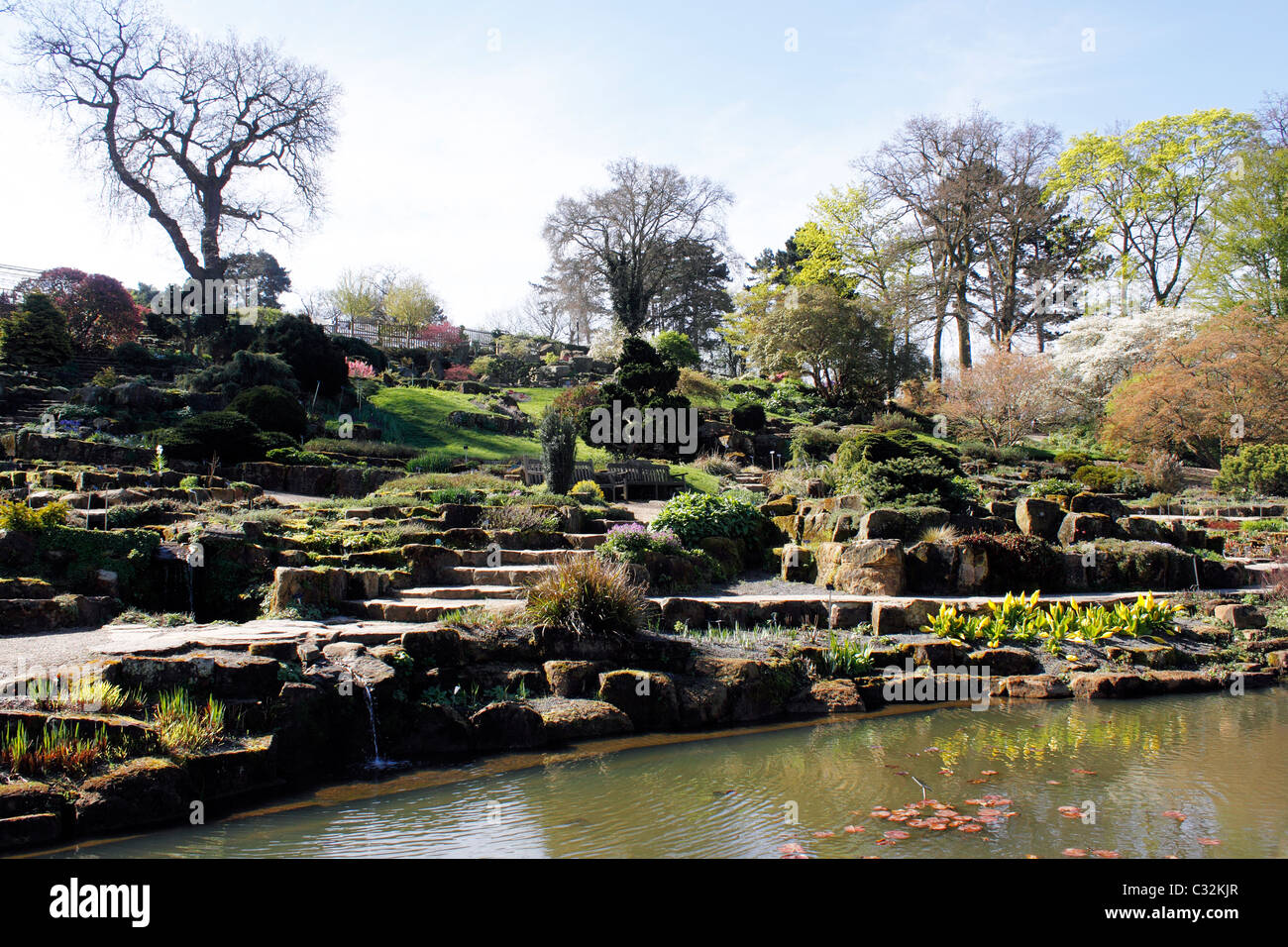 La roccia terrazzata giardino alla RHS Wisley Foto Stock