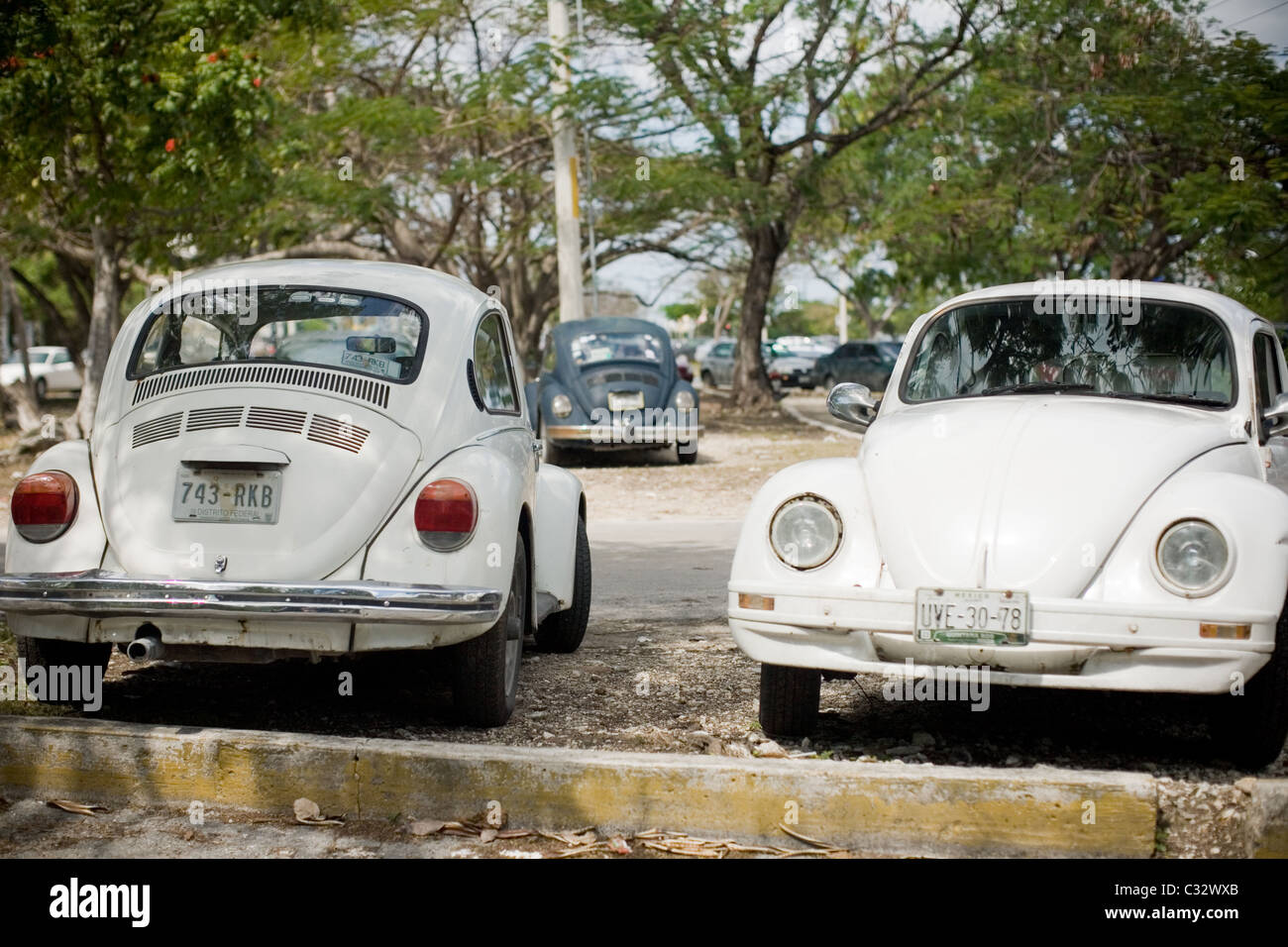 VW Beetles Foto Stock