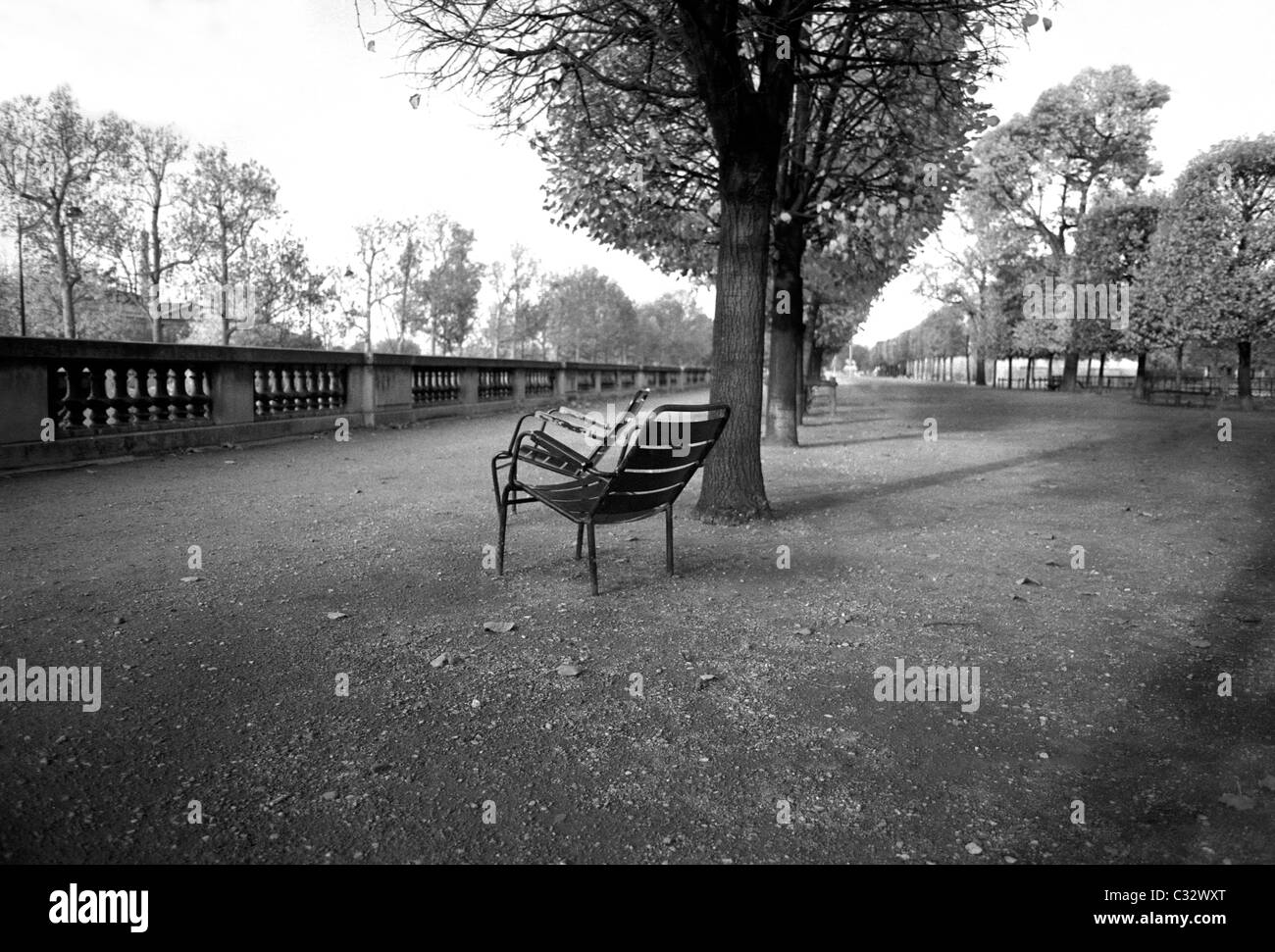 Le sedie in giardini Tuileries Parigi Foto Stock