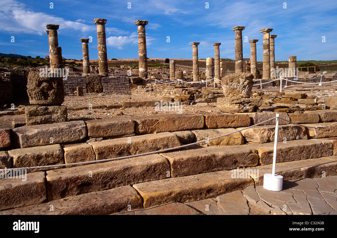 Basilica di le rovine romane di Baelo Claudia (II BC ). Bolonia. La provincia di Cadiz Cadice. Andalusia.Spagna. Foto Stock