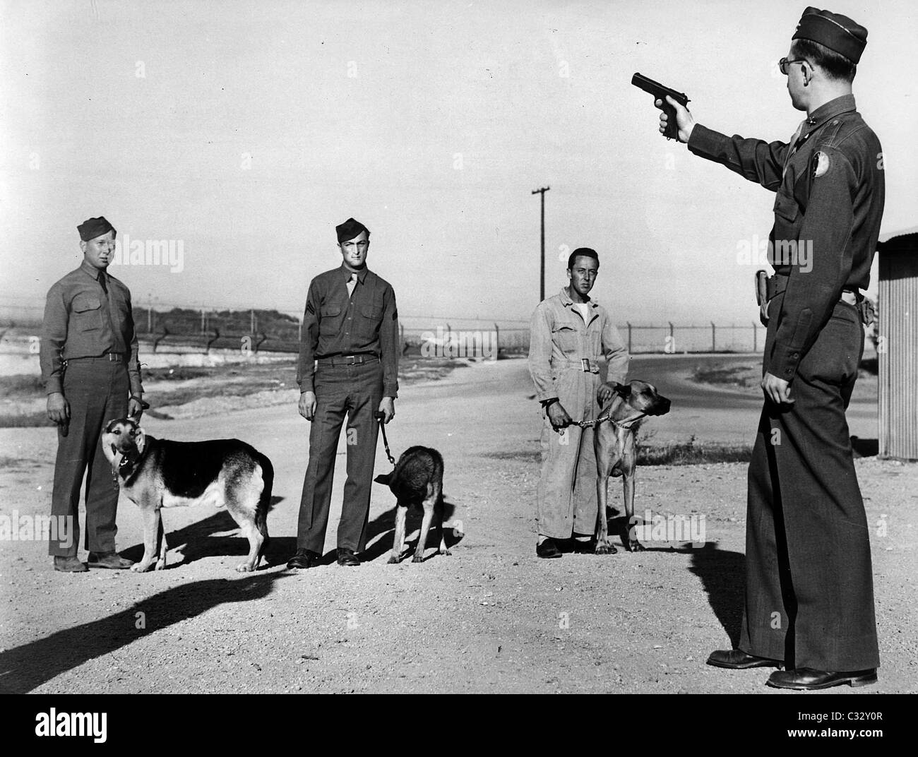 La guerra dei cani sotto la formazione. Stati Uniti d'America WW11. Un ufficiale gli incendi una Colt pistola automatica per familiarizzare i canini con il suono di spari. Foto Stock