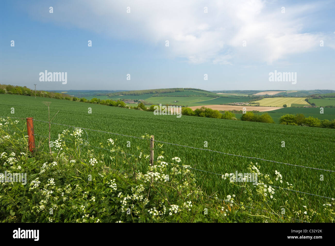 Vista su terreni agricoli nella pittoresca campagna di laminazione, Meon Valley, Hampshire, Regno Unito Foto Stock