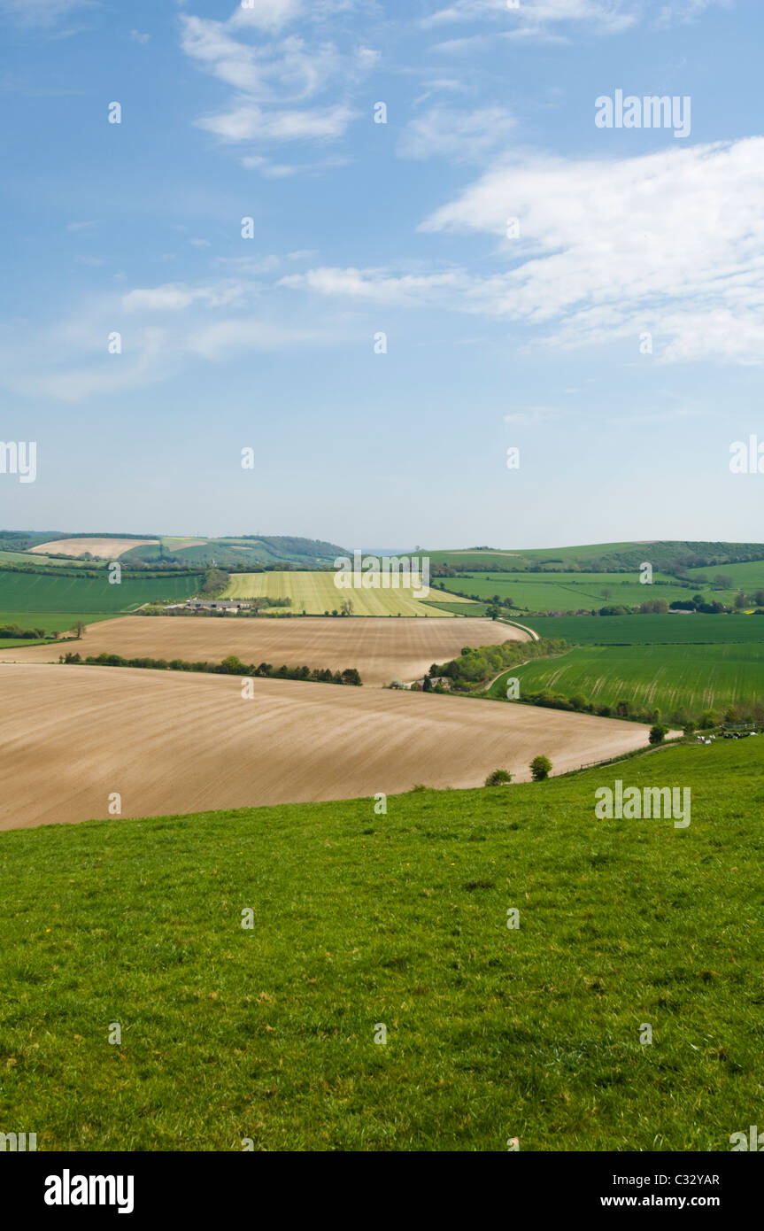 Vista su terreni agricoli nella pittoresca campagna di laminazione, Meon Valley, Hampshire, Regno Unito Foto Stock