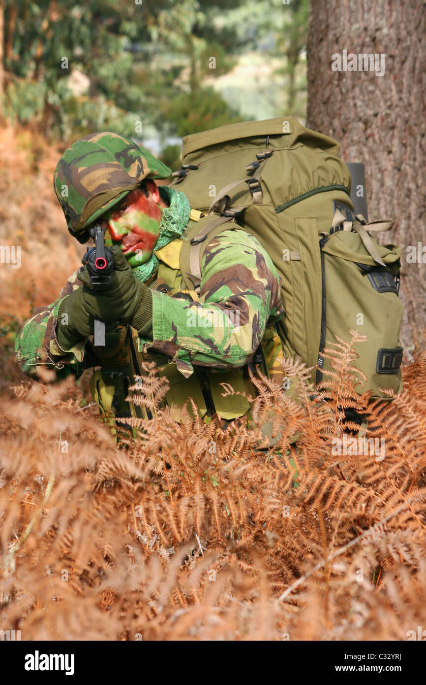L'addestramento militare combattere, foresta/ambiente giungla Foto Stock