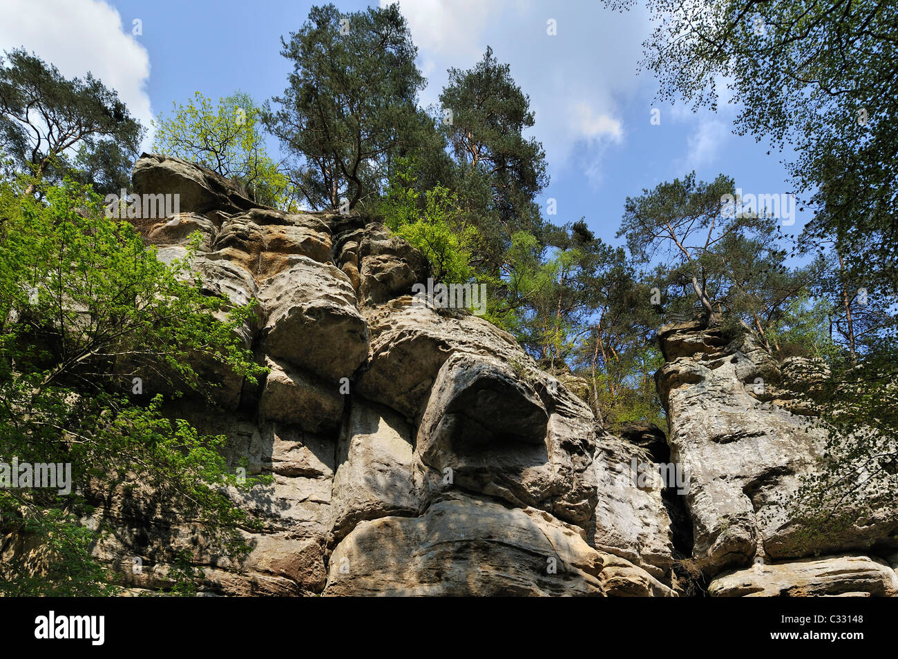 La roccia arenaria formazione Perekop in Berdorf, piccola Svizzera / Mullerthal, Granducato del Lussemburgo Foto Stock