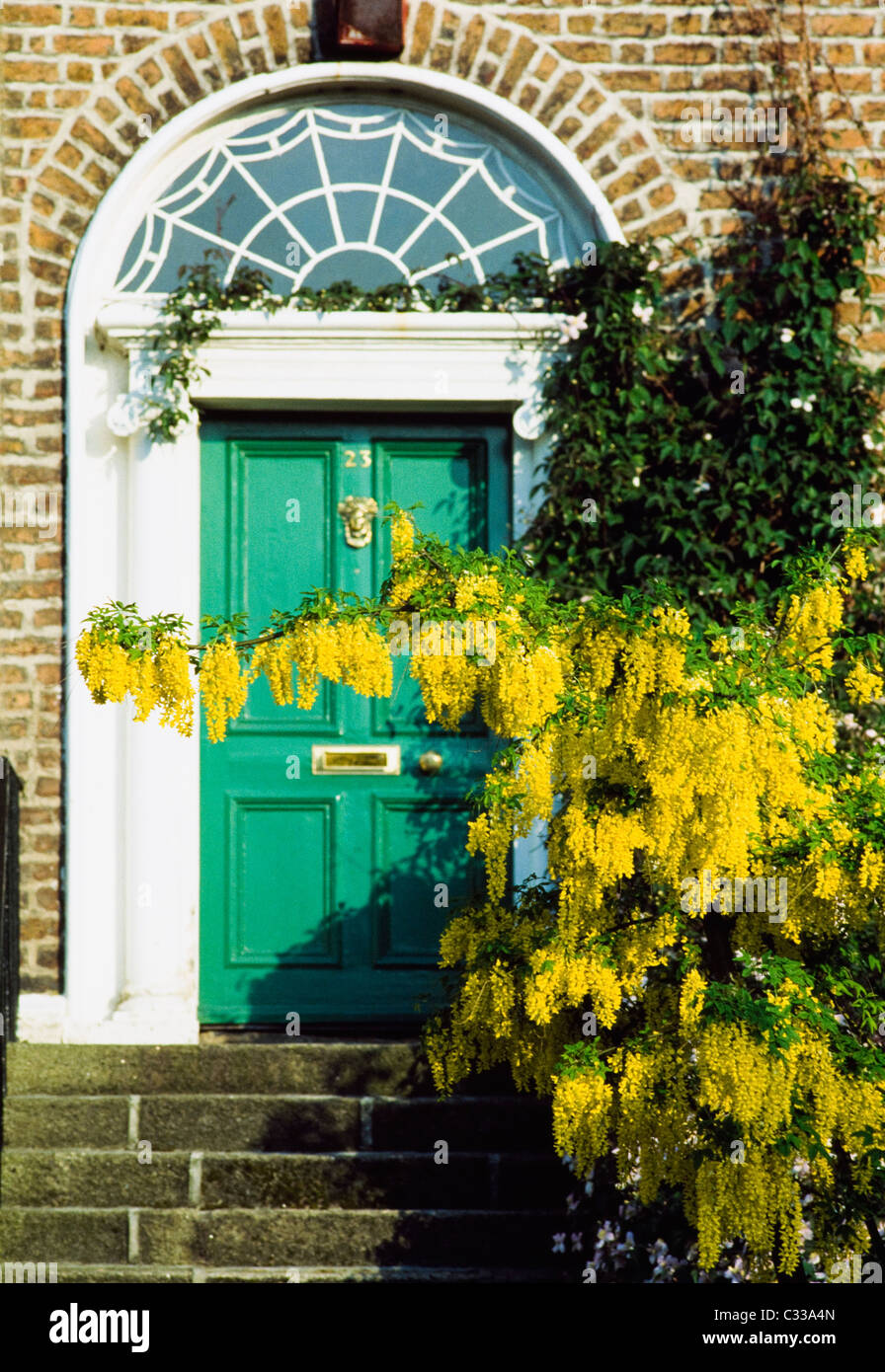 Dublino, Co Dublin, Irlanda, Porte georgiano Foto Stock