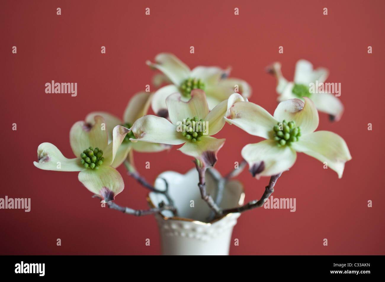 Un bocciolo vaso riempito con fiori di corniolo, un elemento di molla decor. Foto Stock