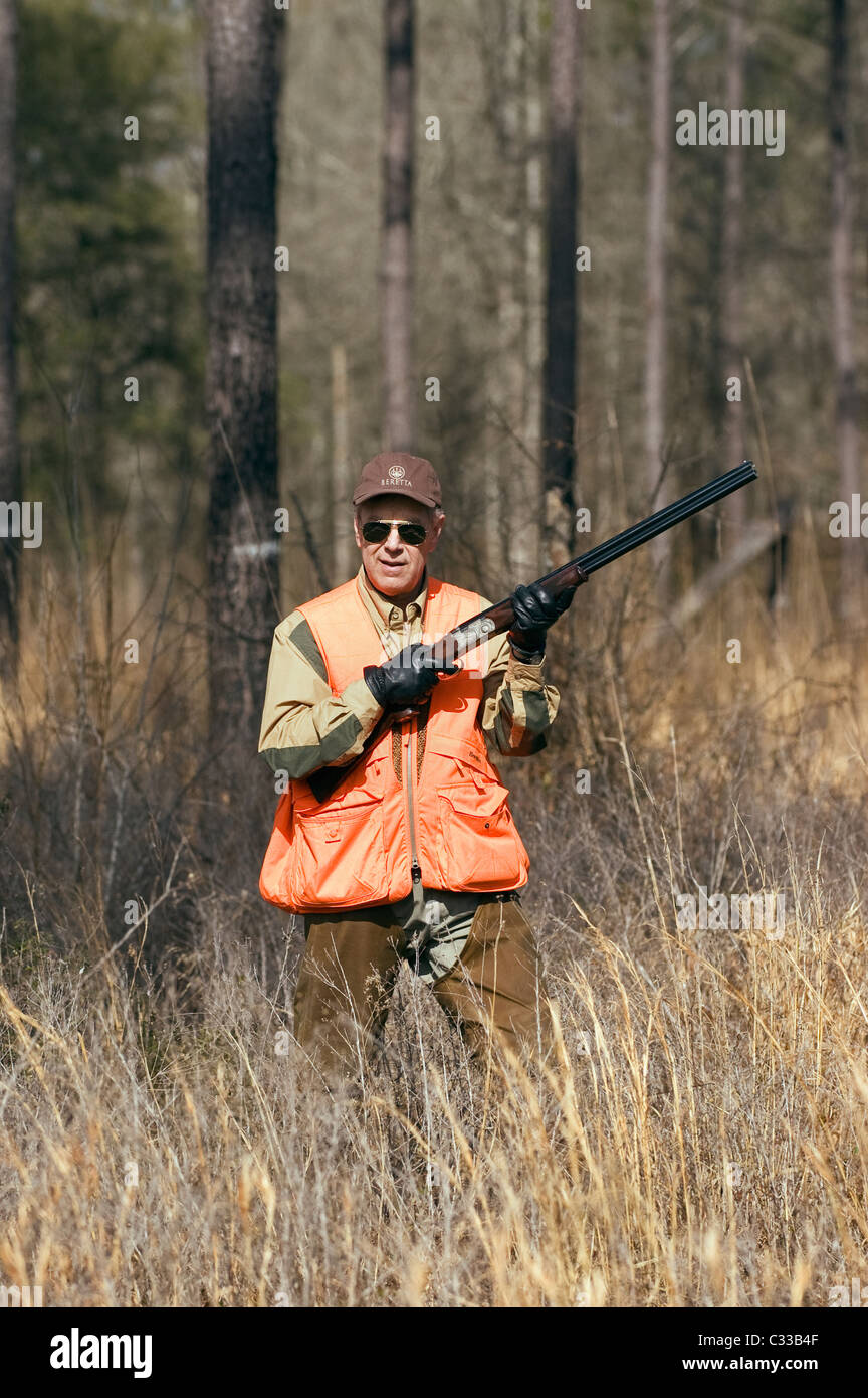 Upland Bird Hunter con una al di sopra e al di sotto di fucile Beretta durante un Bobwhite caccia quaglia in Piney Woods della Georgia Foto Stock