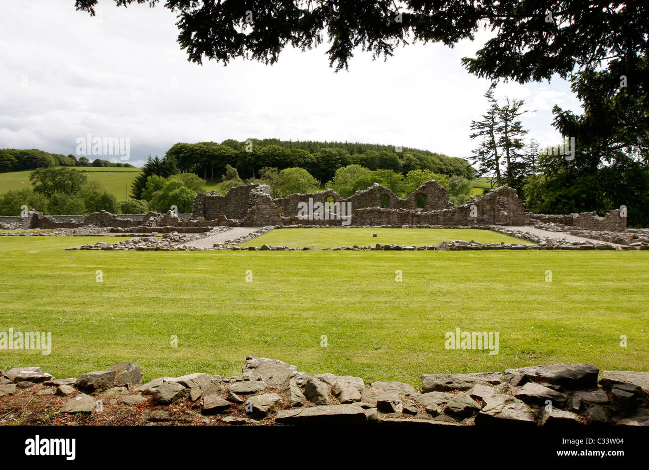 Abbazia di cervo vicino Mintlaw in Aberdeenshire nel nord est della Scozia Foto Stock