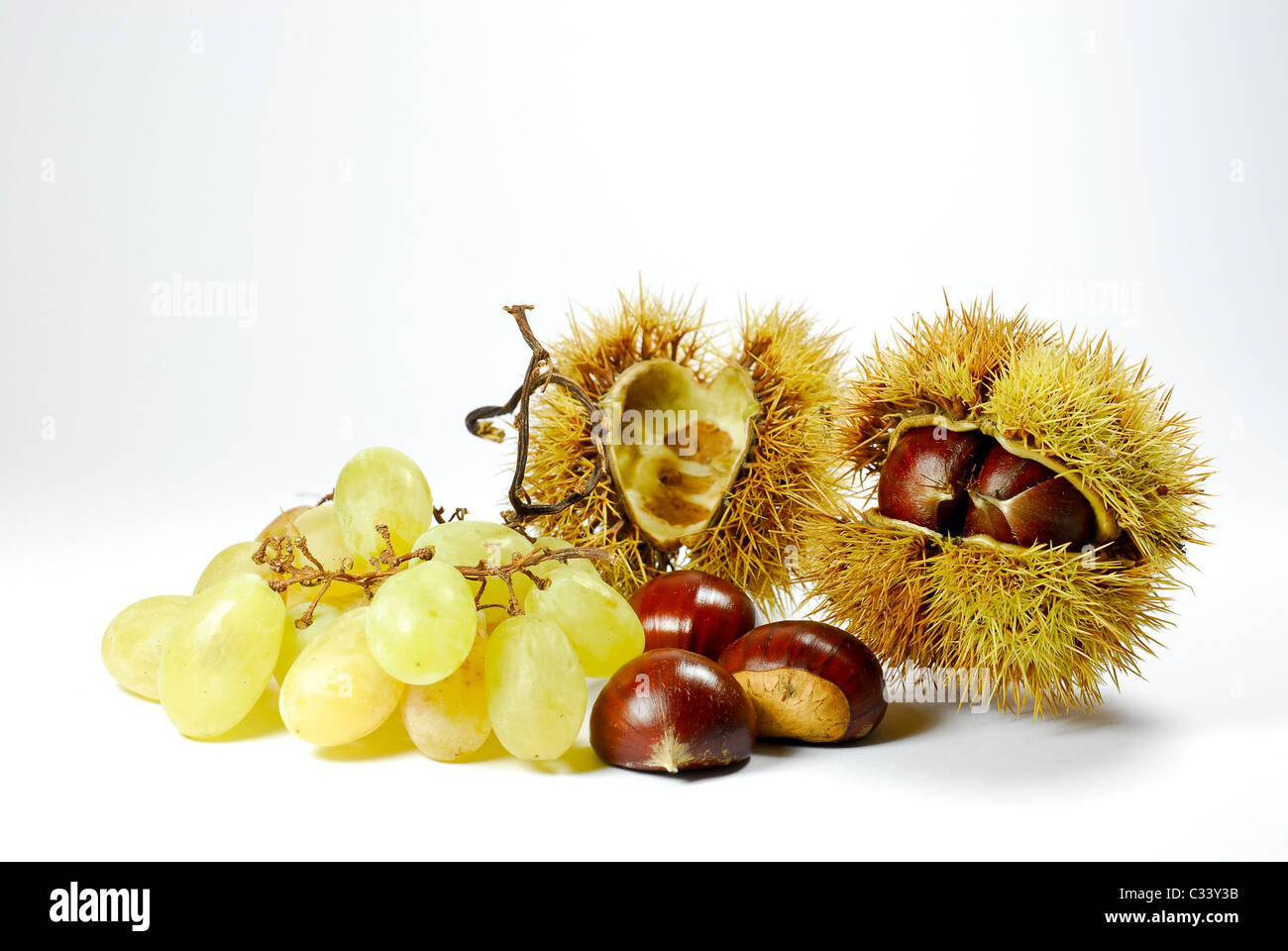 Le castagne con riccio e i mosti di uve Foto Stock