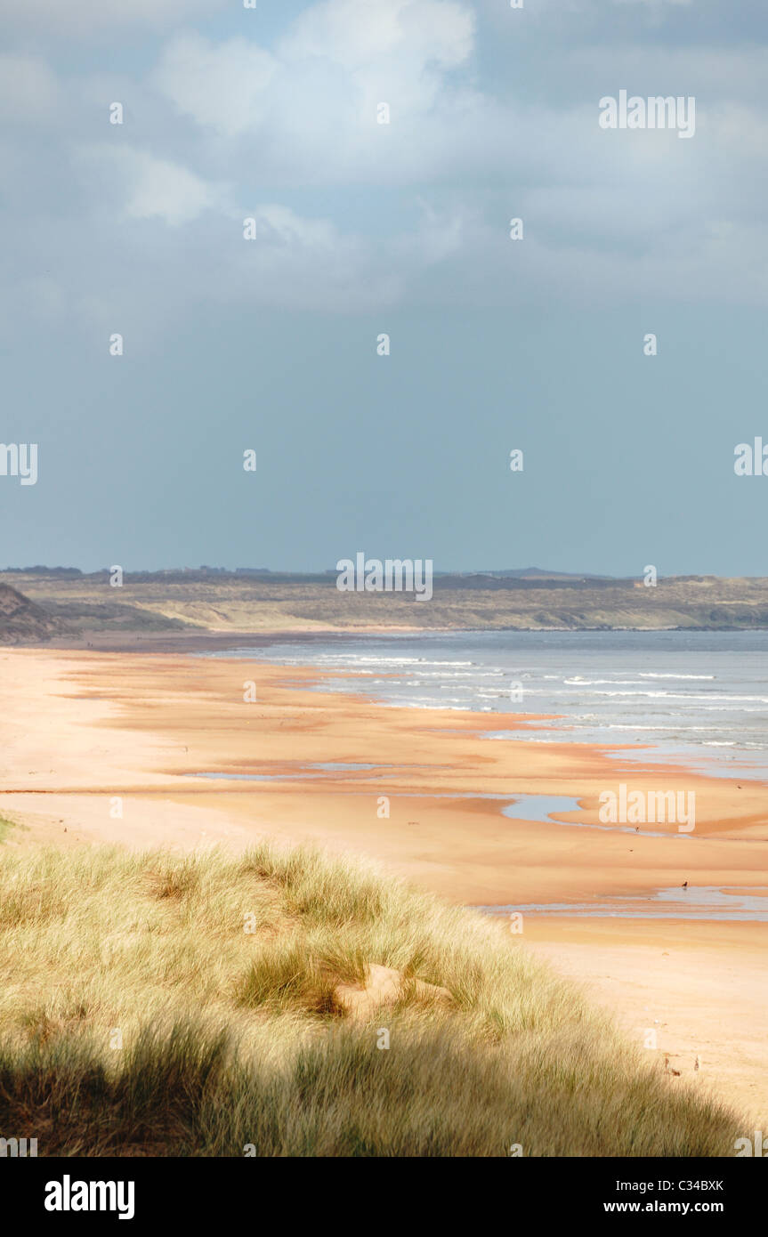 I dettagli delle dune di sabbia in corrispondenza a Balmedie e Menie, una zona essendo sviluppato come un campo da Golf per proprietà speculatore Donald Trump Foto Stock