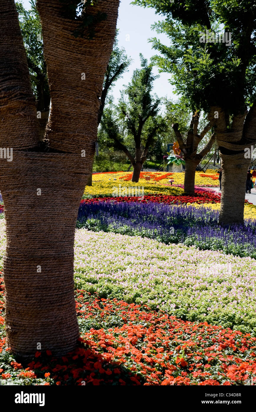 Colorato giardino con vista del mare di fiori e albero Foto Stock