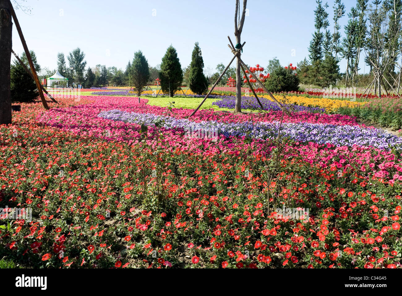 Colorato giardino con vista del mare di fiori Foto Stock