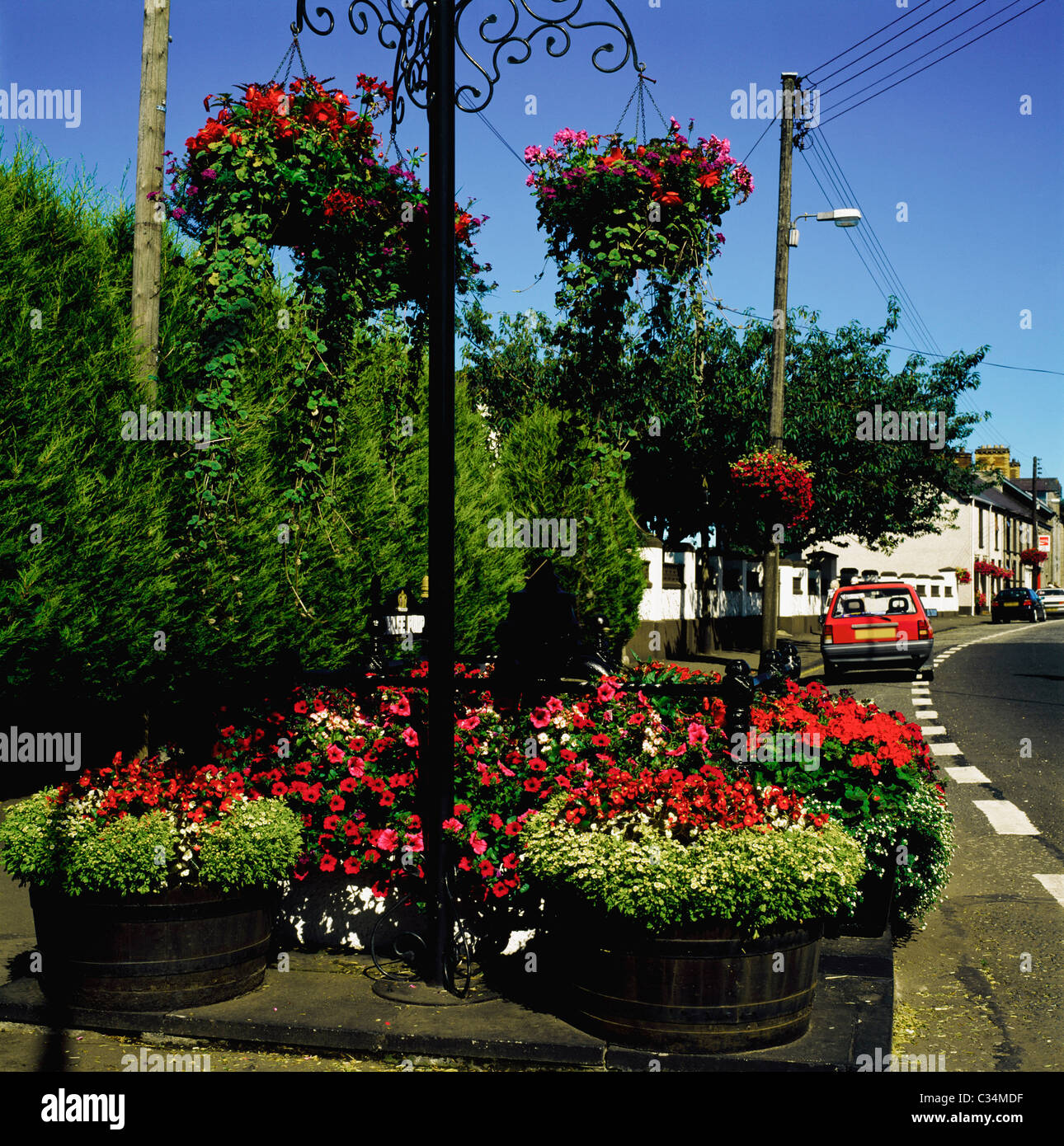 Broughshane, Co Antrim, Irlanda del Nord, fiori in mostra Foto Stock