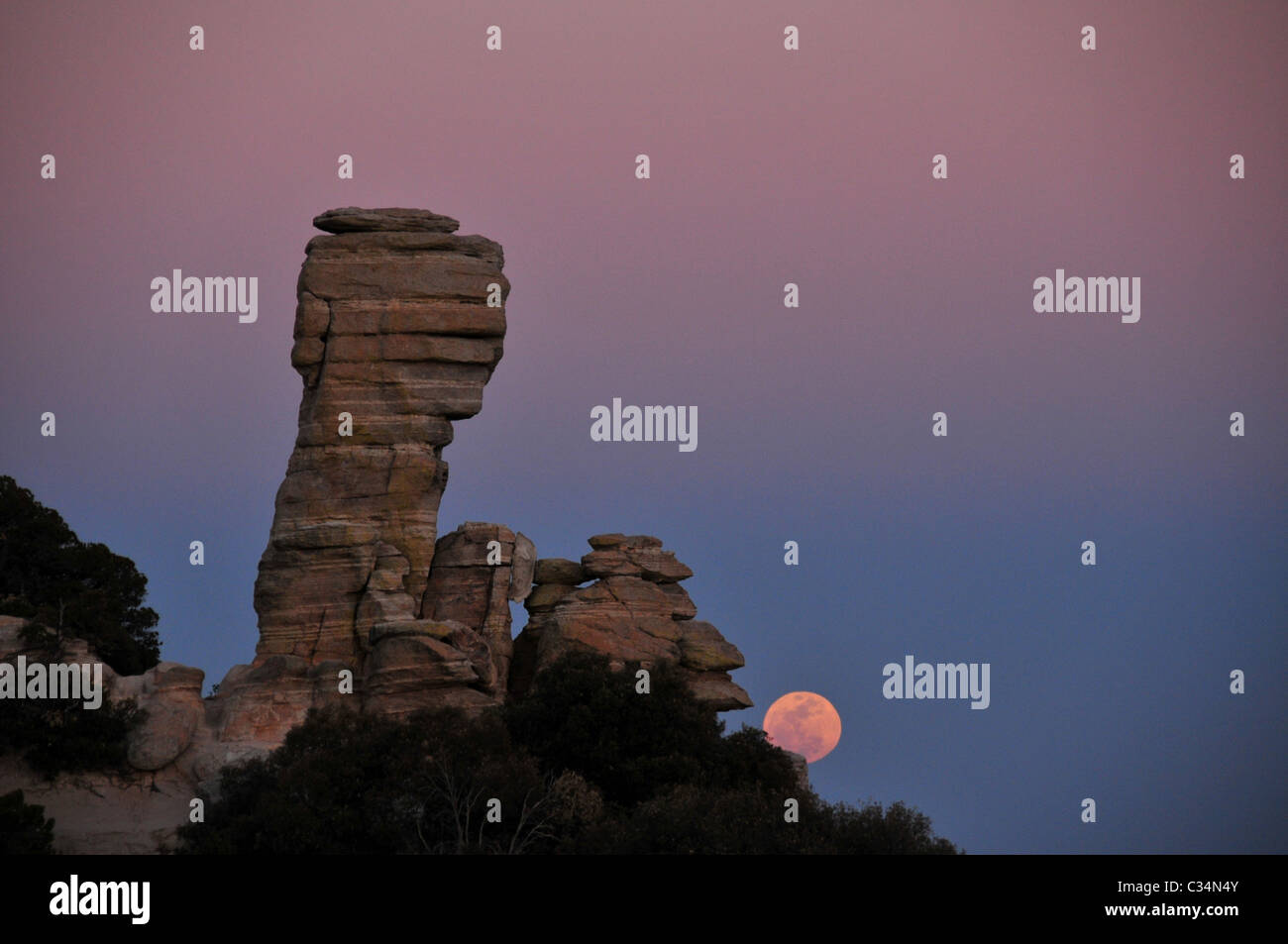 La funzione di roccia, Generale Hitchcock e la luna piena vista dal punto di Ventoso vista sul Monte Lemmon, Tucson, Arizona, Stati Uniti. Foto Stock