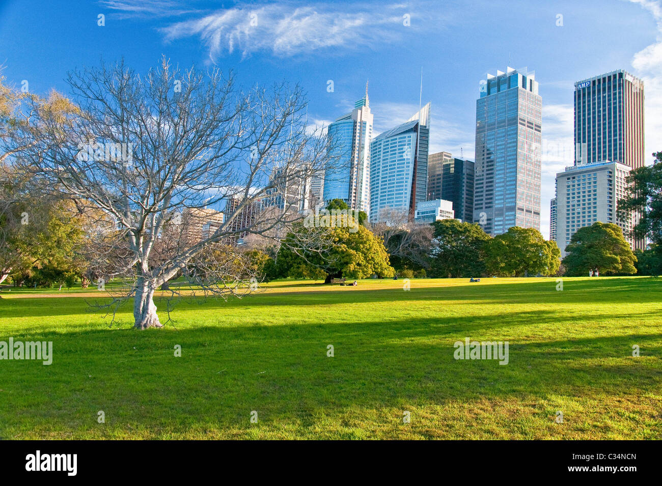 Park ed edifici a Sydney in Australia Foto Stock
