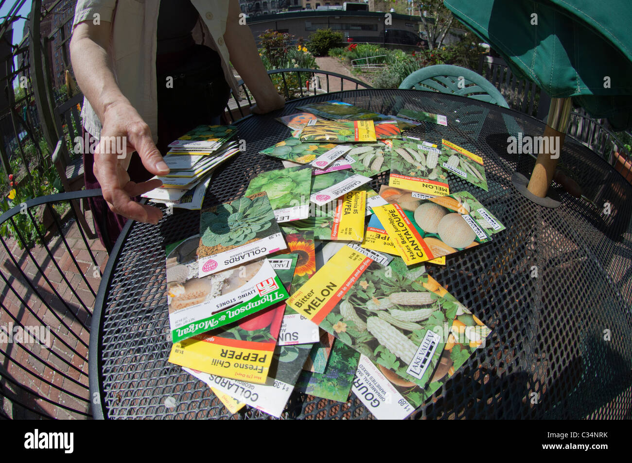 Una raccolta di semi vari pacchetti è visto in un orto comunitario in New York martedì 26 aprile, 2011. (© Richard B. Levine) Foto Stock