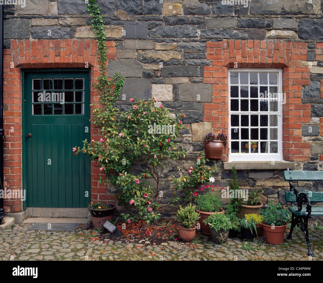 Saintfield,Co Down,l'Irlanda del Nord;Azalea e piante in vaso al di fuori di un giardino Rowallane proprietà Foto Stock
