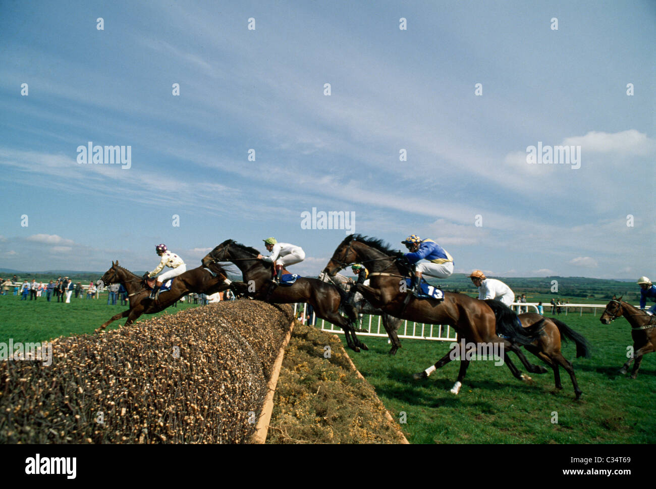 Punchestown Racecourse, nella contea di Kildare, Irlanda Foto Stock