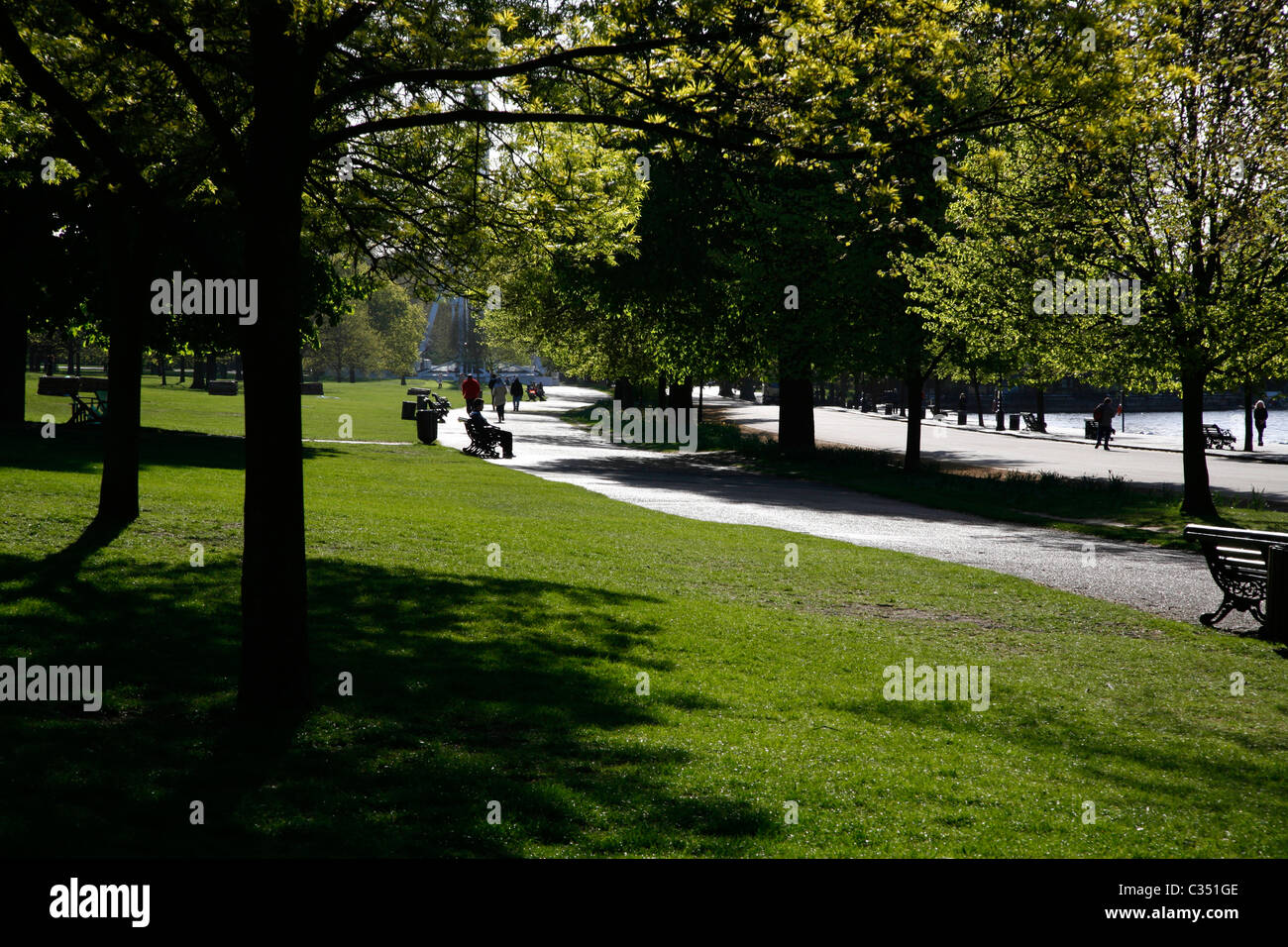 Mattina di primavera sulla strada a serpentina, Hyde Park, London, Regno Unito Foto Stock
