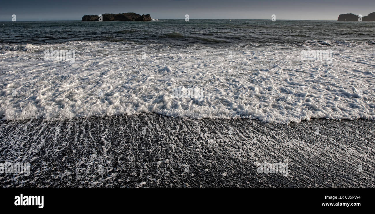 Spiaggia di sabbia nera con onde, Dyrholaey, Islanda Foto Stock