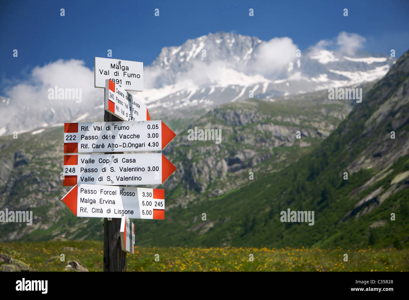 Tabella trail, Parco Naturale Adamello-Brenta, Fumo Valley, in Val di Daone, Valli Giudicarie, Trentino Alto Adige, Italia, Europa Foto Stock