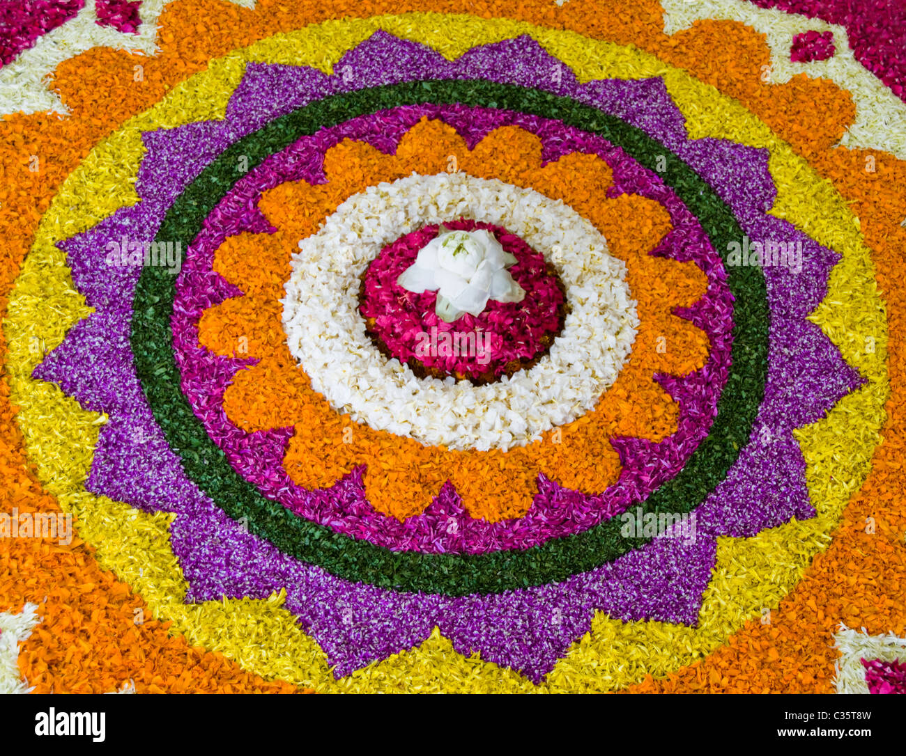 Disposizione del fiore close up onam festival Foto Stock