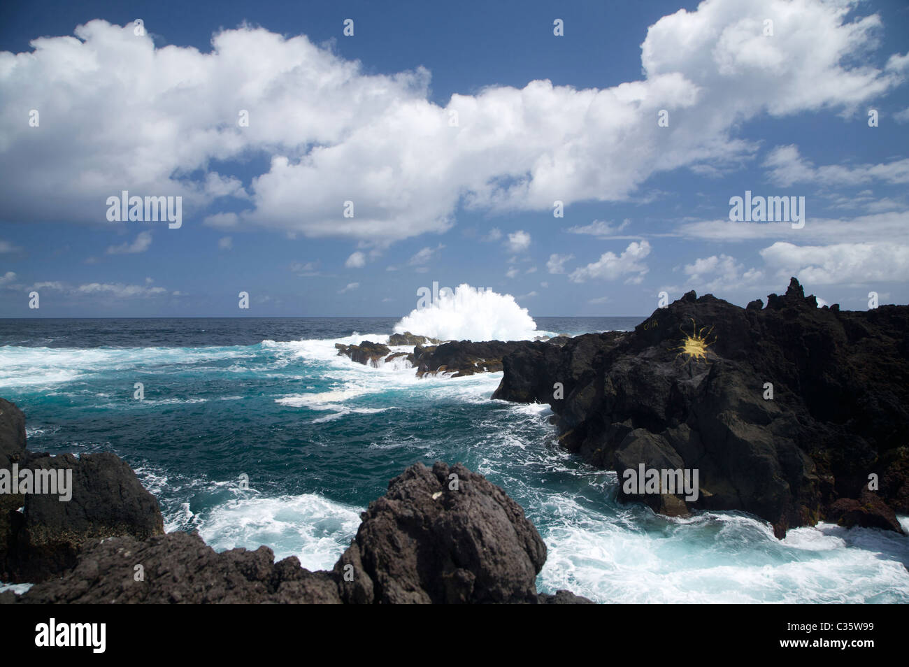 Vista del costo di lava, Ponta dos Biscoitos, Terceira, Azzorre Isola, Portogallo, Europa Foto Stock