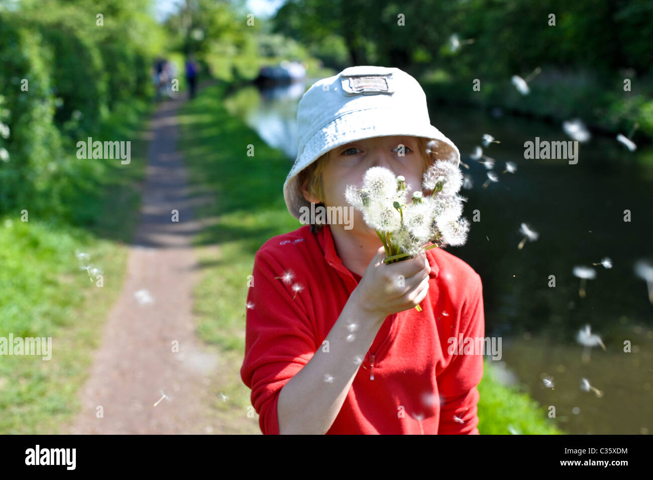 Un giovane ragazzo in un cappello per il sole e la parte superiore rossa soffia un mazzetto di tarassaco semi in aria in una passeggiata lungo un canale alzaia in una giornata di sole Foto Stock