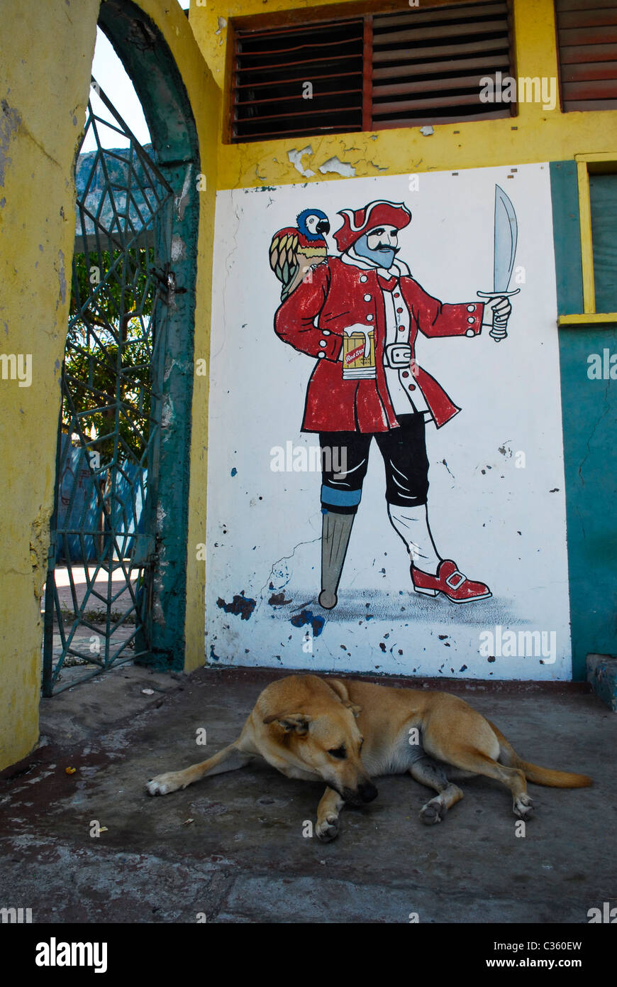 Cane in appoggio anteriore del murale del pirata azienda Red Stripe beer, Port Royal, attraverso il porto da Kingston, St Andrew, Giamaica Foto Stock