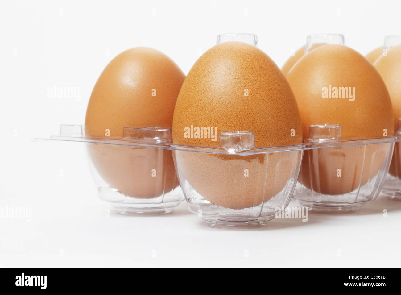 Close up di uova fresche in plastica trasparente vassoio Foto Stock