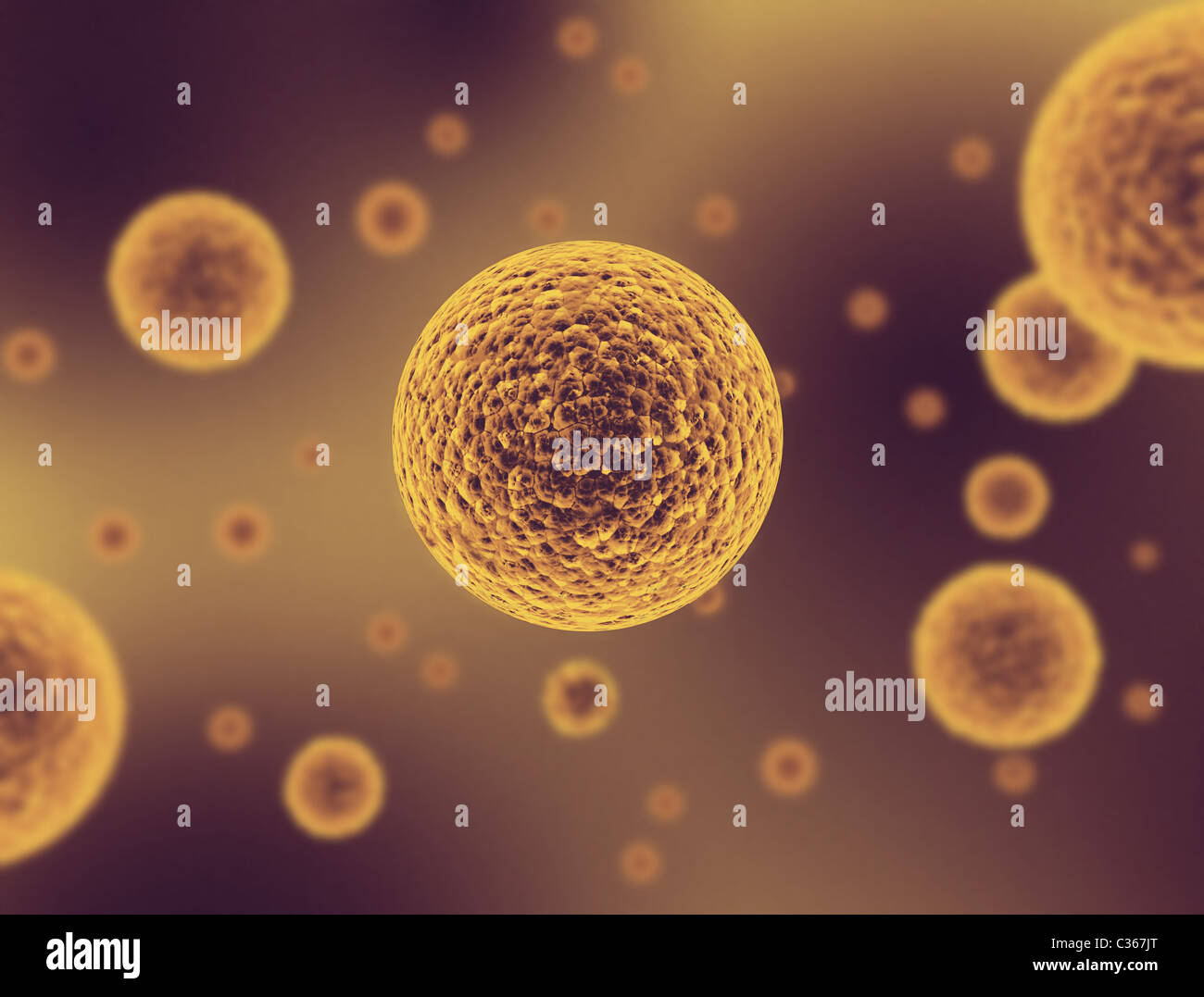 Le cellule al microscopio Foto Stock