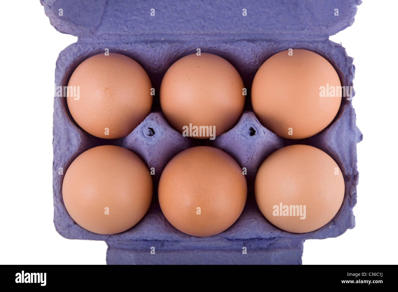 Brown uova di galline in blu confezione di uova, isolato su sfondo bianco Foto Stock