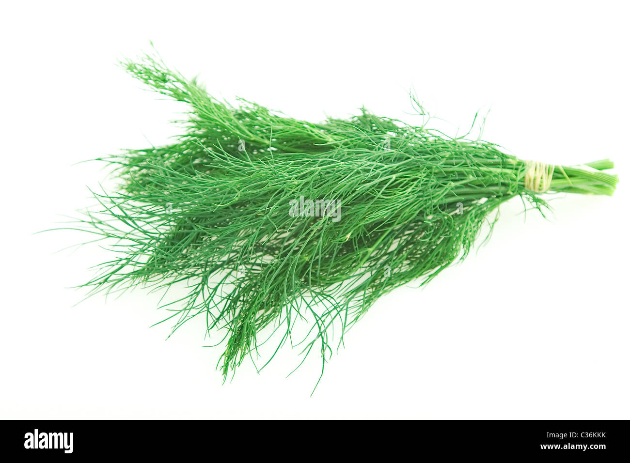 A base di erbe fresche, aneto verdi su sfondo bianco Foto Stock