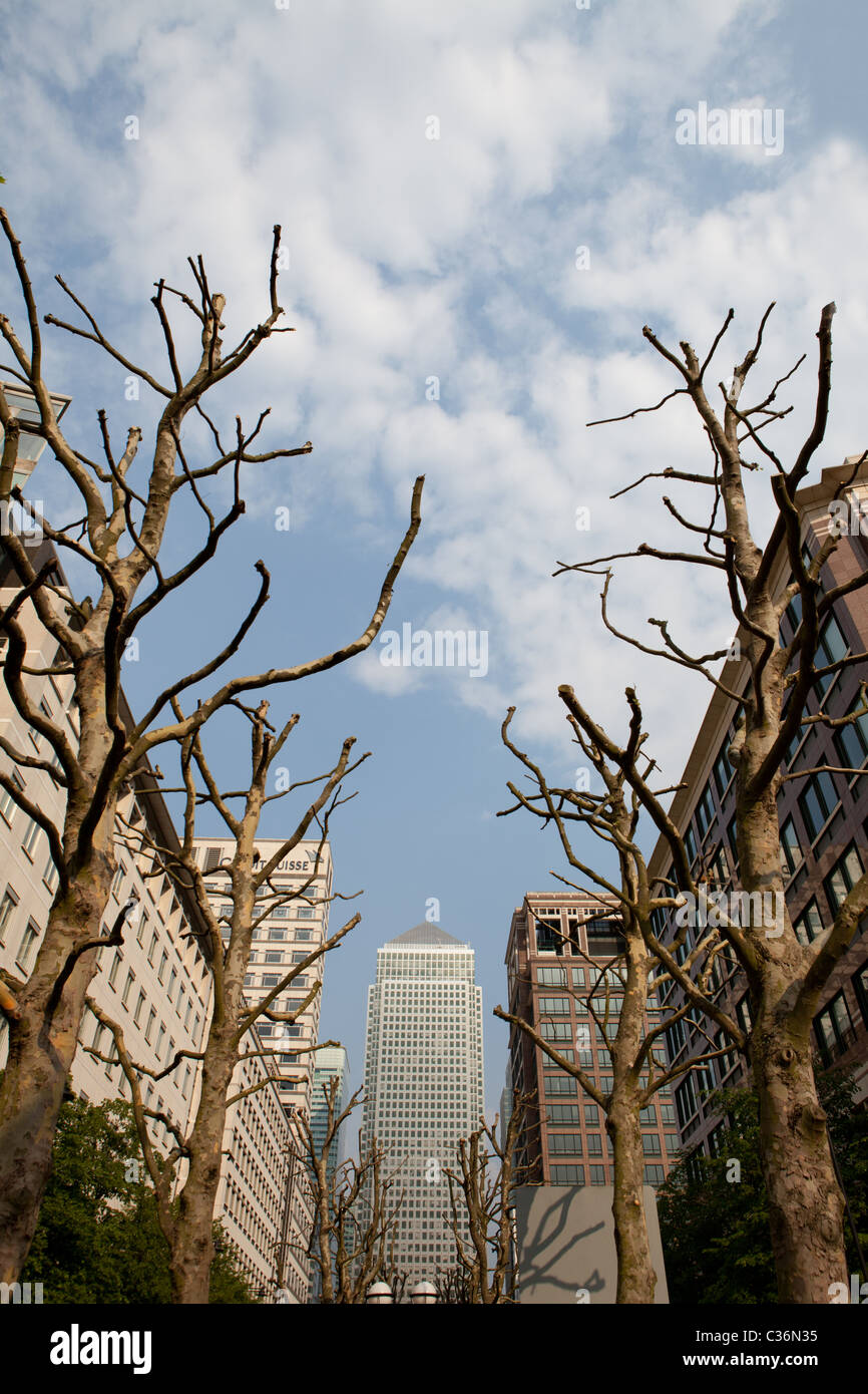 One Canada Square,Canary Wharf, il quartiere degli affari e il quartiere finanziario di Londra, Regno Unito, alberi, Foto Stock