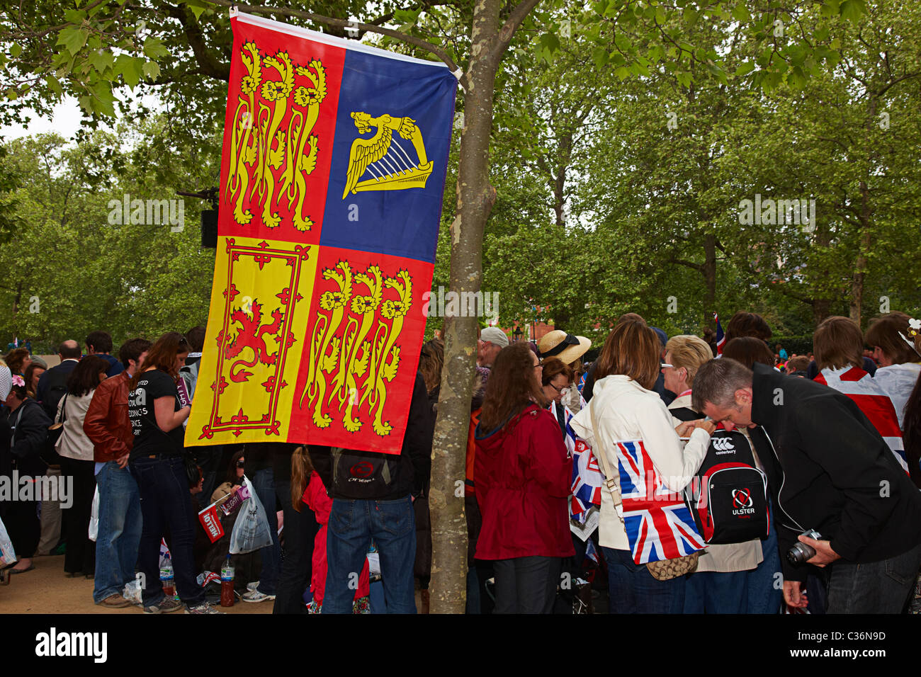 Il Royal standard appeso a un albero presso il Royal Wedding Foto Stock