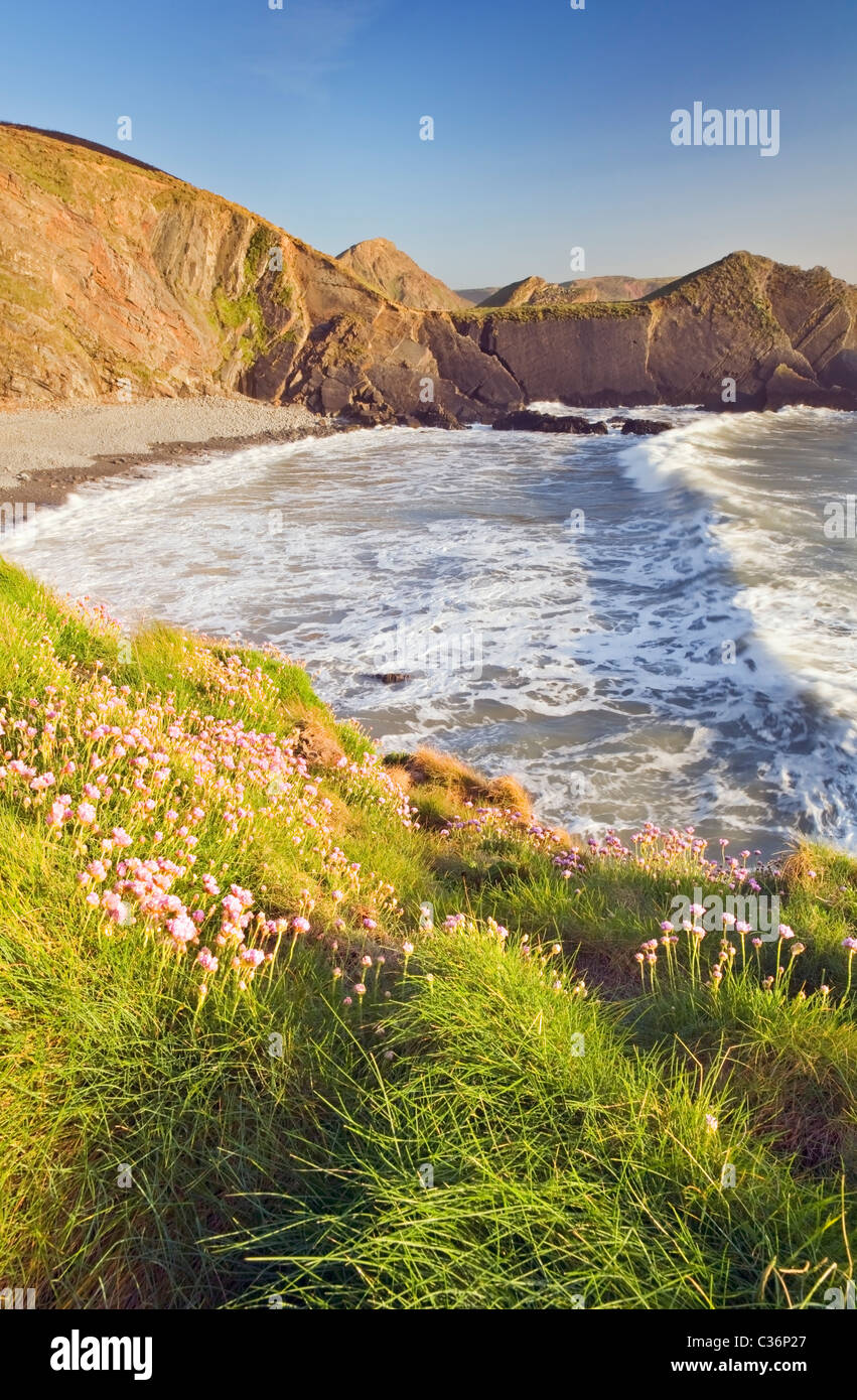 Hartland North Devon Regno Unito Foto Stock