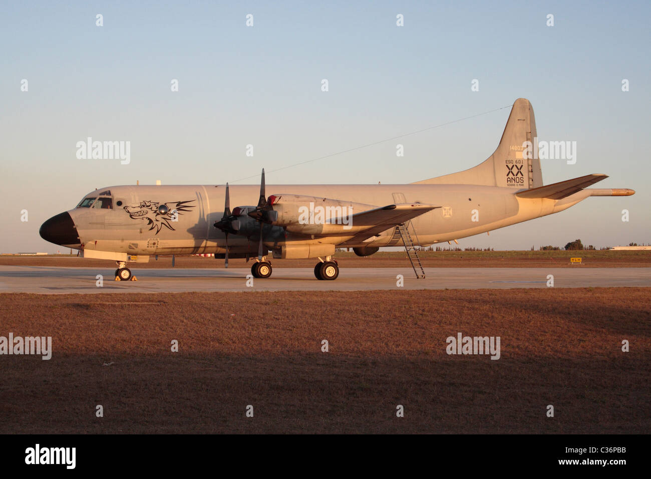 Lockheed P-3P Orion il pattugliamento marittimo piano portoghese della Air Force Foto Stock