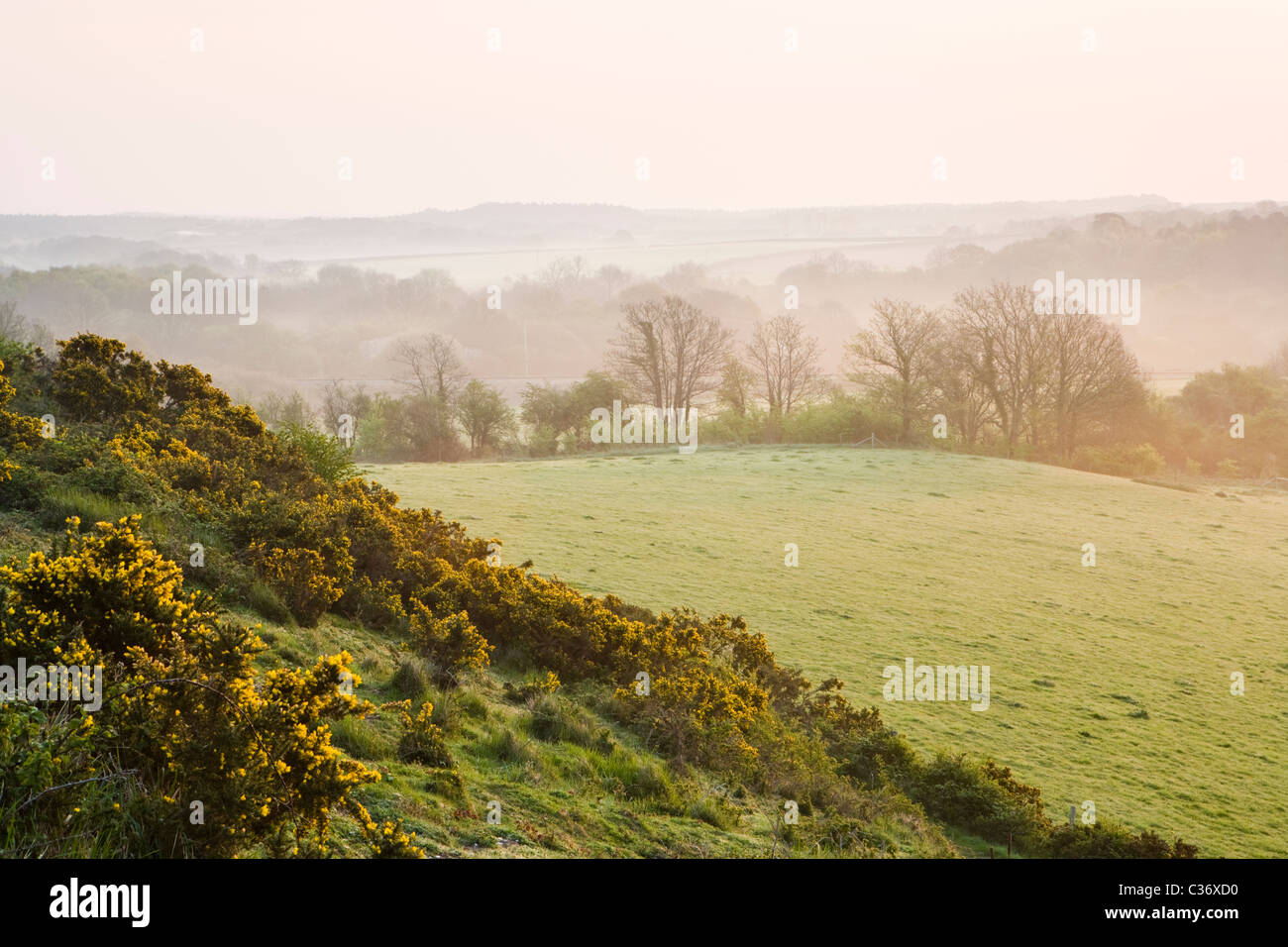 Misty dawn a inizio primavera nelle vicinanze Corfe Castle village, Dorset, Regno Unito Foto Stock