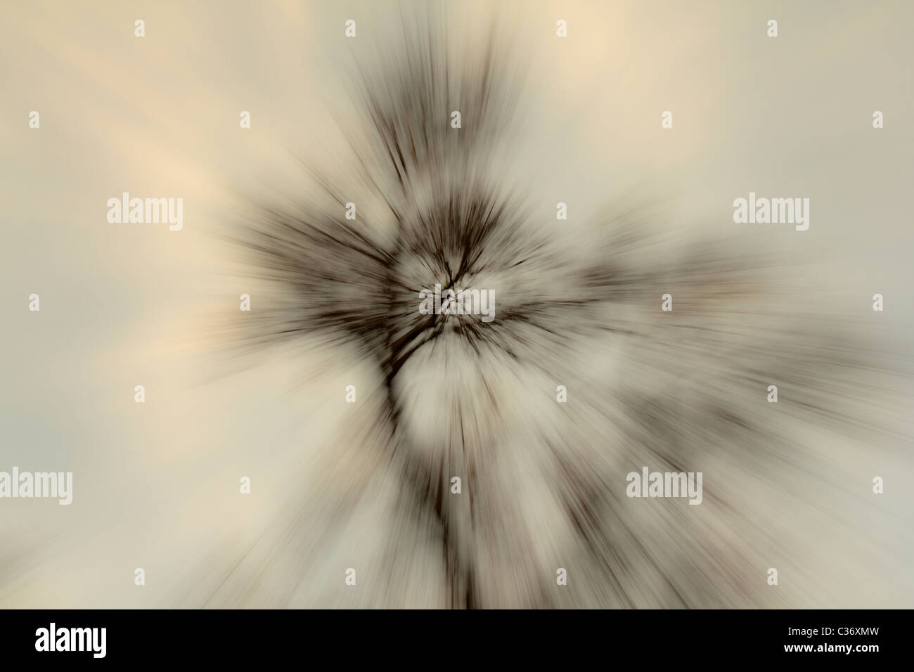 Effetto speciale creato da zoom indietro durante il periodo di esposizione Foto Stock