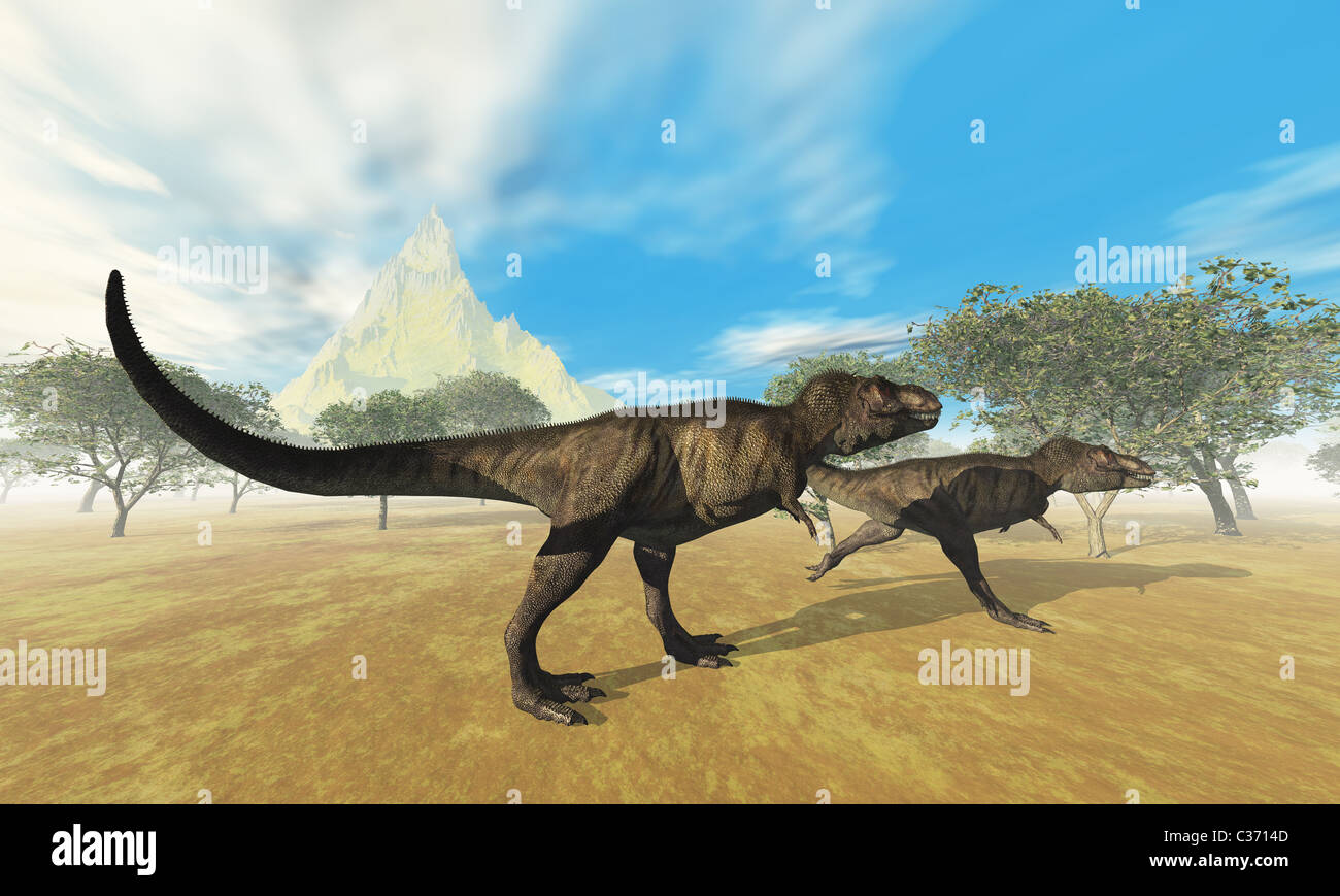 Due Tyrannosaurus Rex dinosauri sono a caccia di prede. Foto Stock
