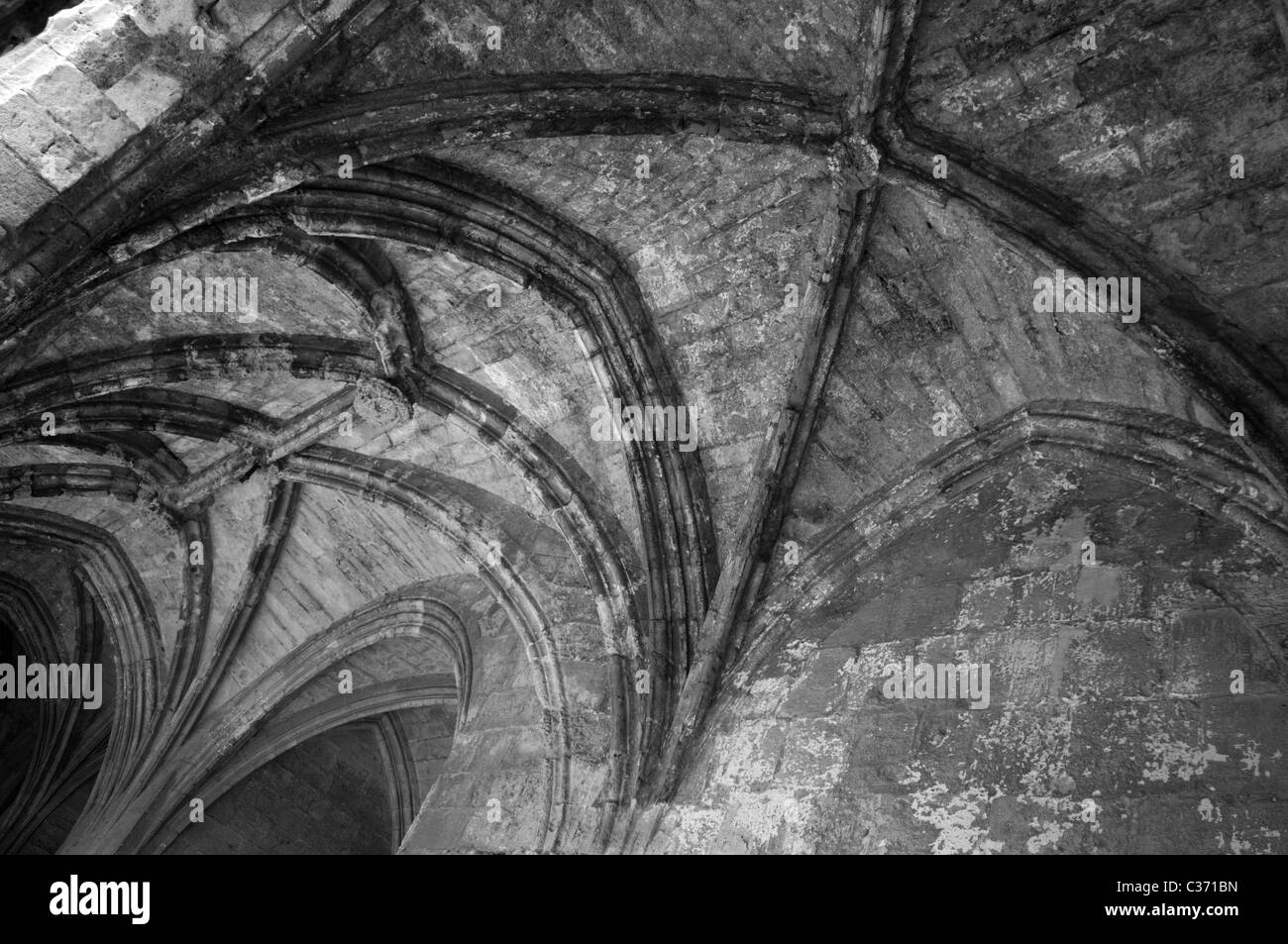 Tetto con soffitto a volta, Narbonne cattedrale Foto Stock