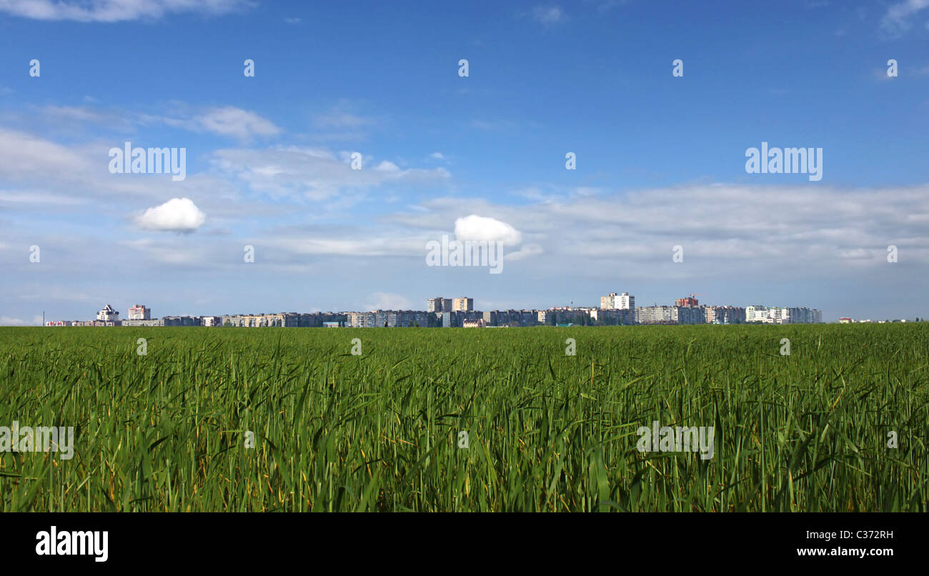 Città dietro il campo di grano sotto il cielo blu Foto Stock