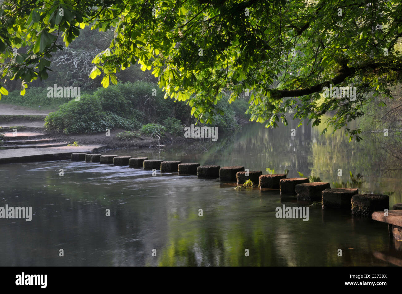 Pietre miliari su Fiume Mole, Box Hill, Dorking Surrey, Inghilterra, Regno Unito. Foto Stock