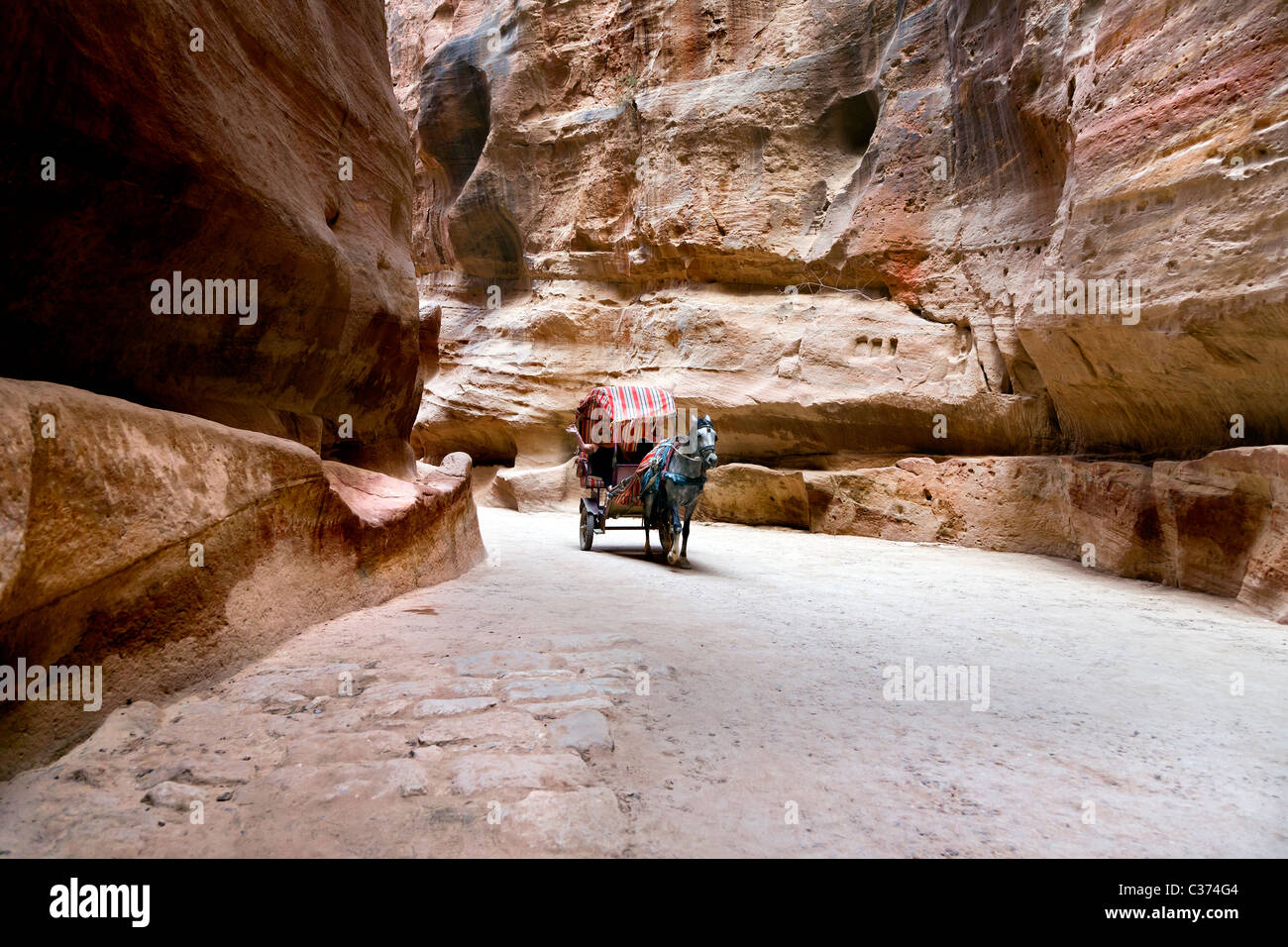 Ottenere turistici di cavalcare un cavallo disegnato carrello attraverso il passaggio ristretto al Rose Red città di Petra. Giordania Foto Stock