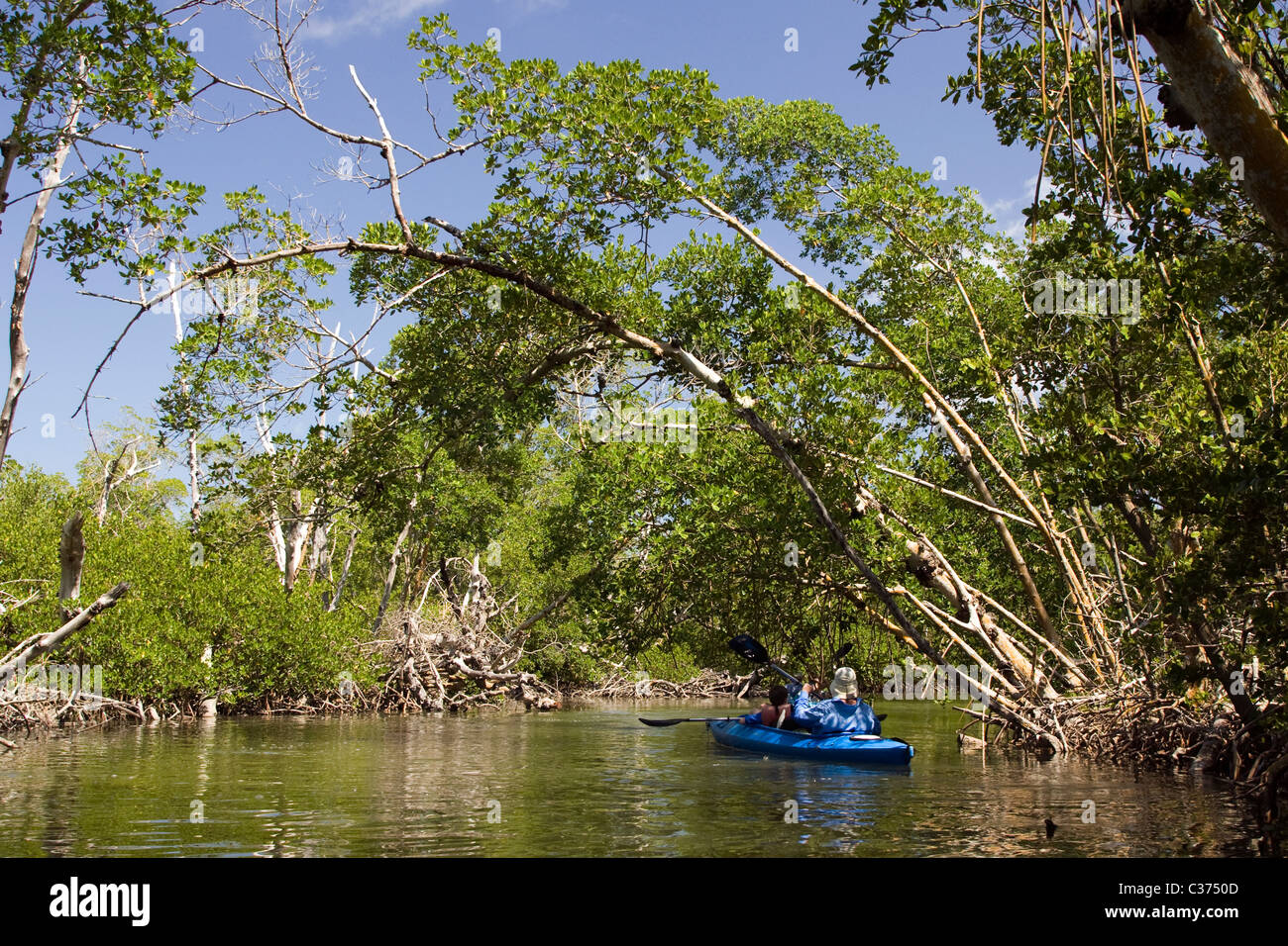 Kayakers a J. N. Ding Darling National Wildlife Refuge - Sanibel Island, Florida Foto Stock